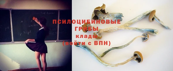 ГАЛЛЮЦИНОГЕННЫЕ ГРИБЫ Тольятти