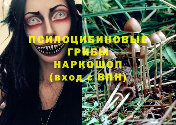 мдма Киреевск