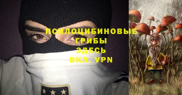 apvp Козловка
